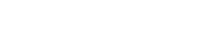DYN Group